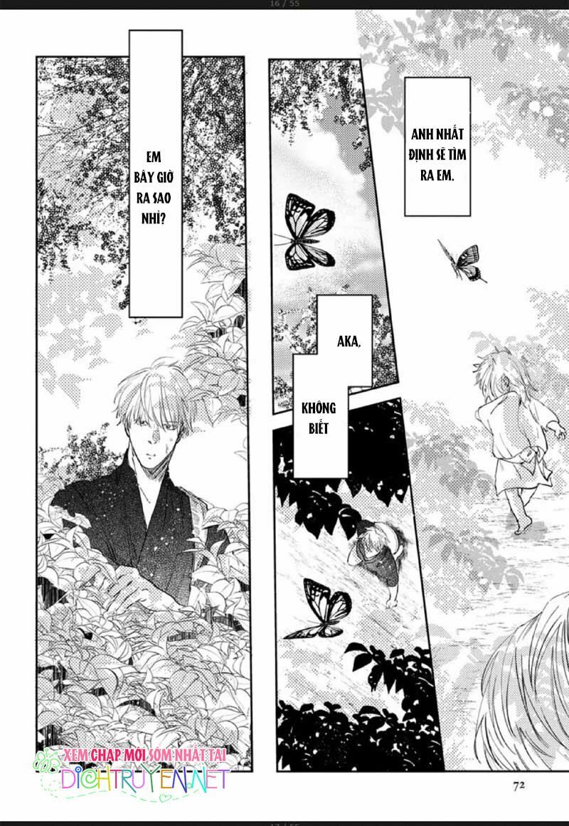 Hoa Trà Đỏ - Chapter 2