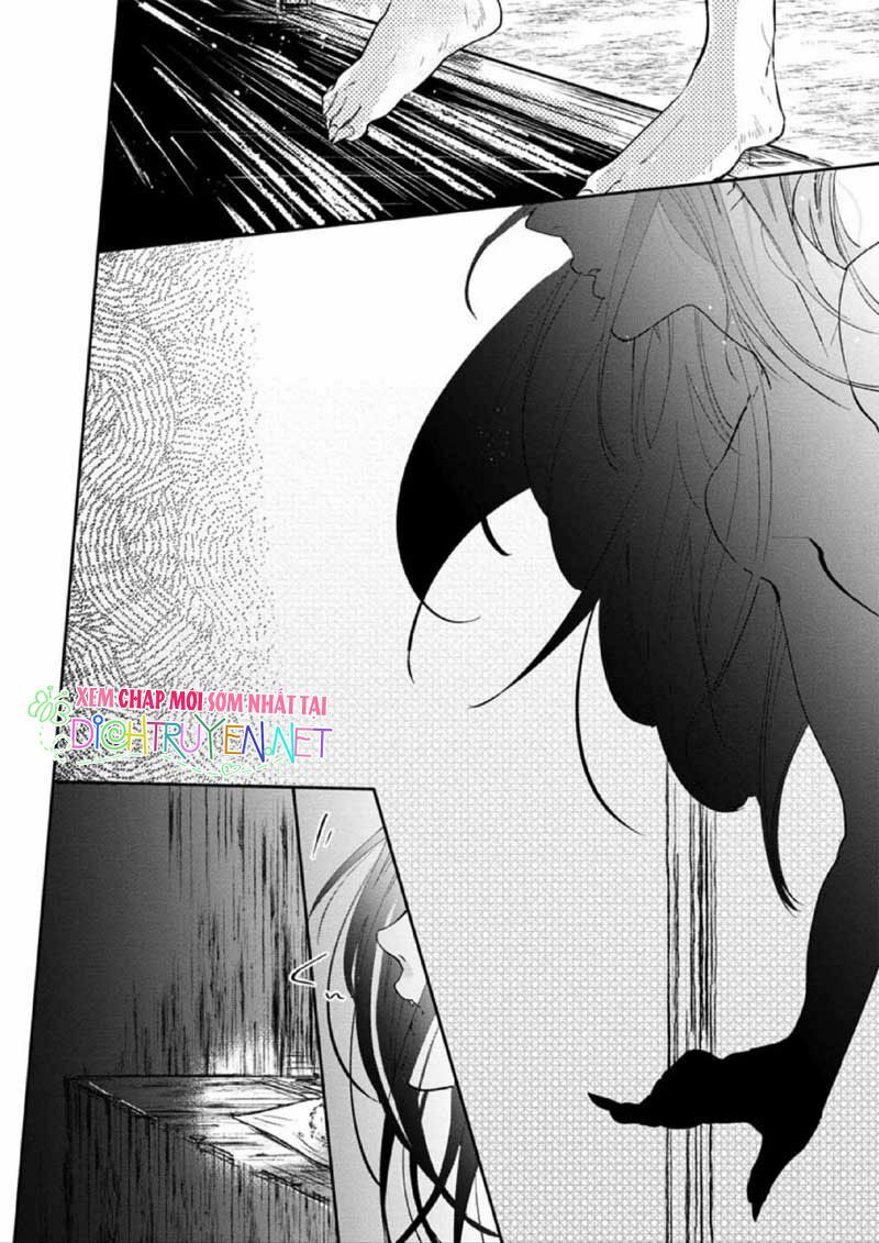 Hoa Trà Đỏ - Chapter 2