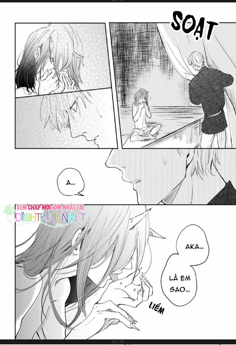 Hoa Trà Đỏ - Chapter 2