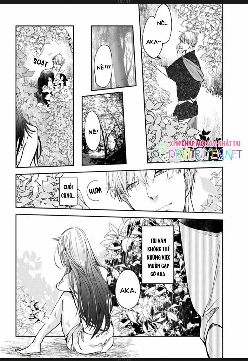 Hoa Trà Đỏ - Chapter 2