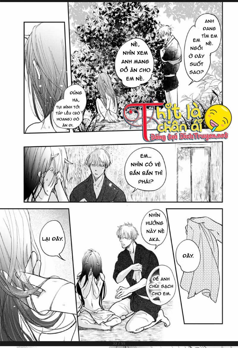 Hoa Trà Đỏ - Chapter 2