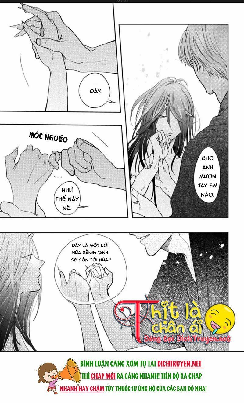 Hoa Trà Đỏ - Chapter 2