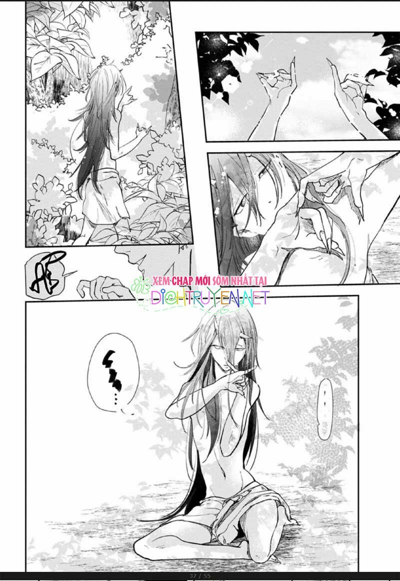 Hoa Trà Đỏ - Chapter 2