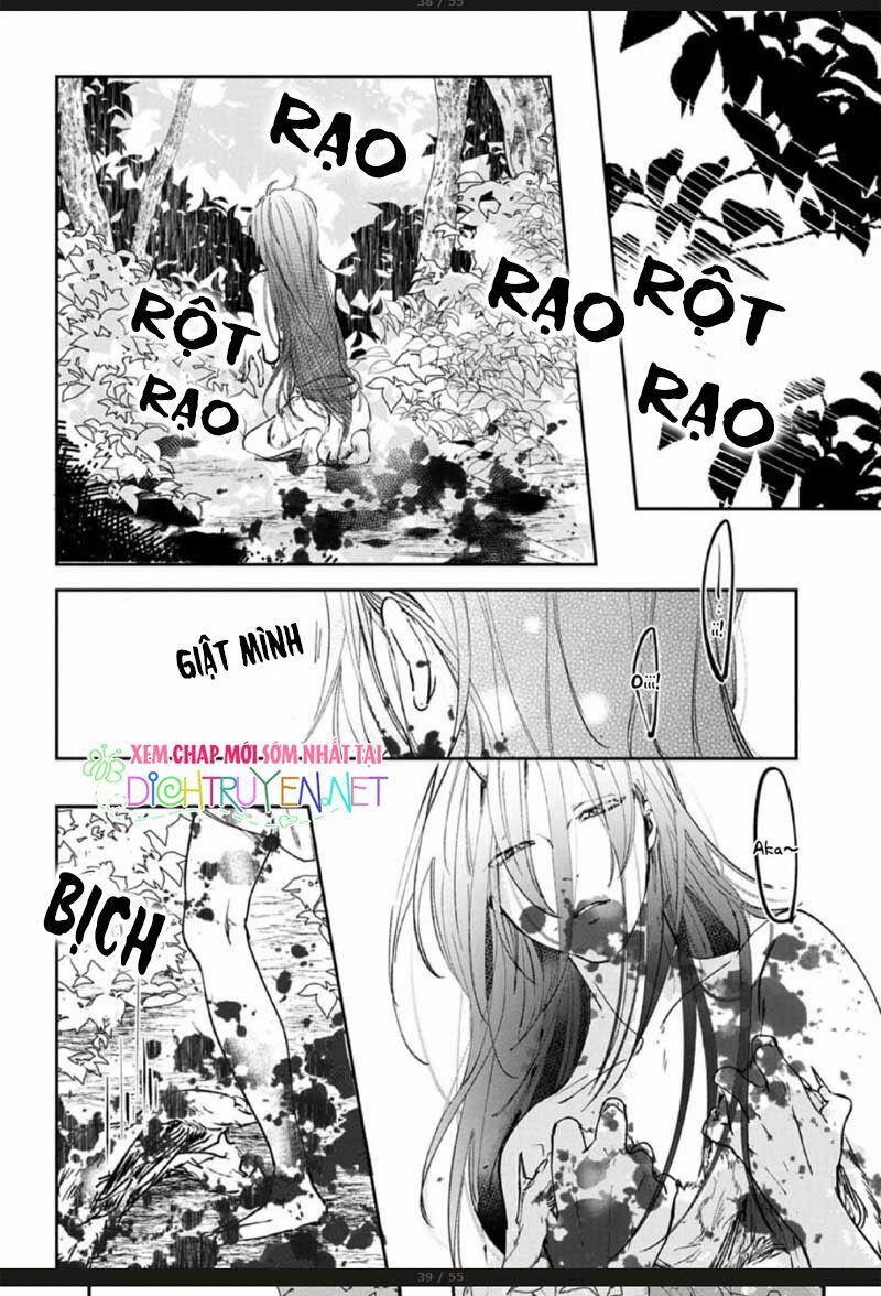 Hoa Trà Đỏ - Chapter 2