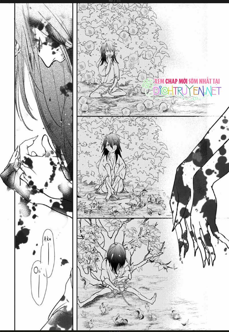 Hoa Trà Đỏ - Chapter 2