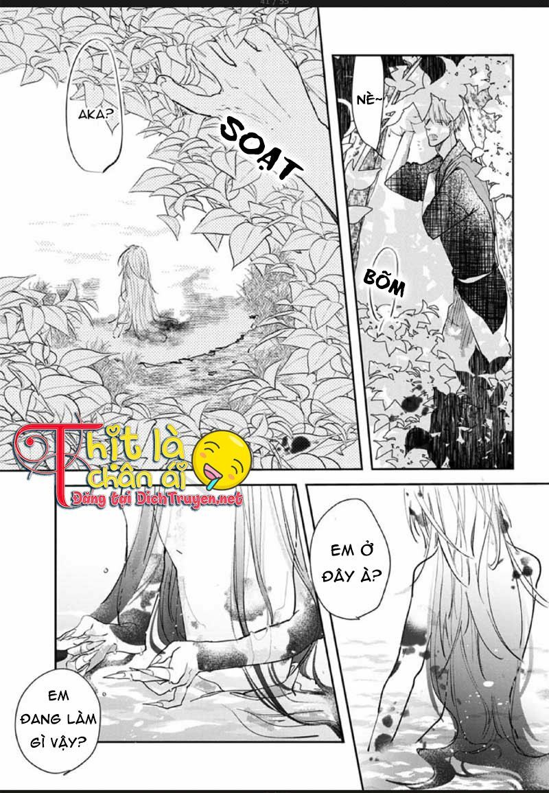Hoa Trà Đỏ - Chapter 2