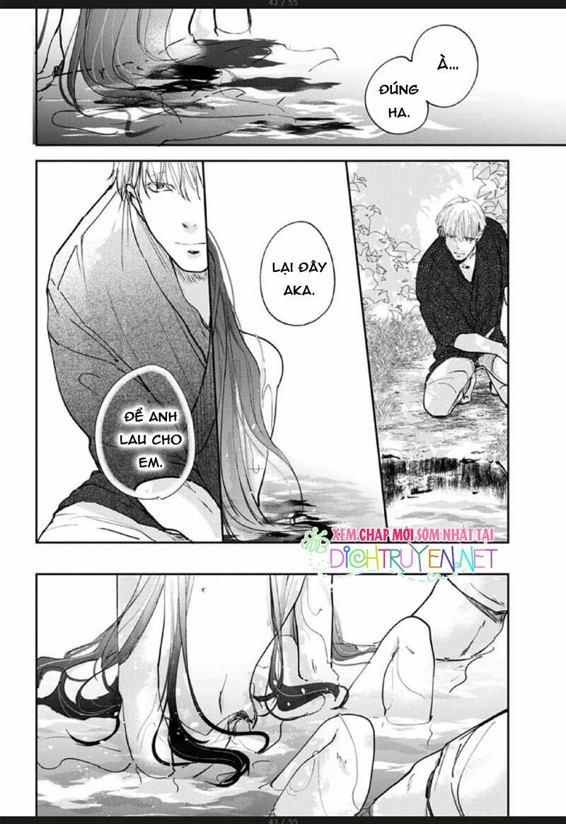 Hoa Trà Đỏ - Chapter 2