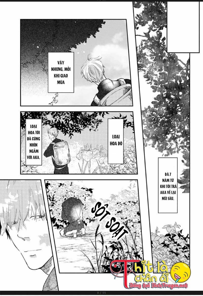 Hoa Trà Đỏ - Chapter 2