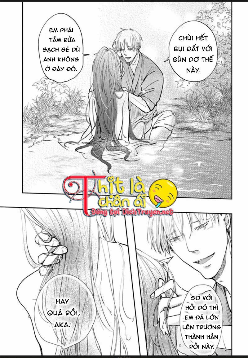 Hoa Trà Đỏ - Chapter 2