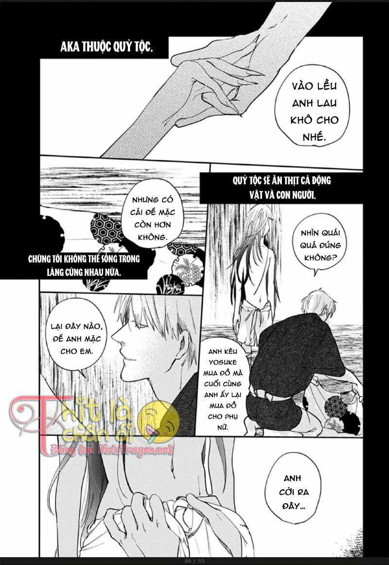 Hoa Trà Đỏ - Chapter 2