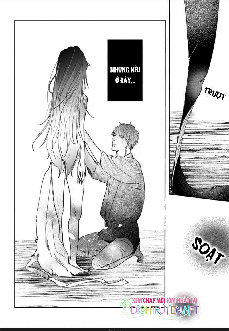 Hoa Trà Đỏ - Chapter 2