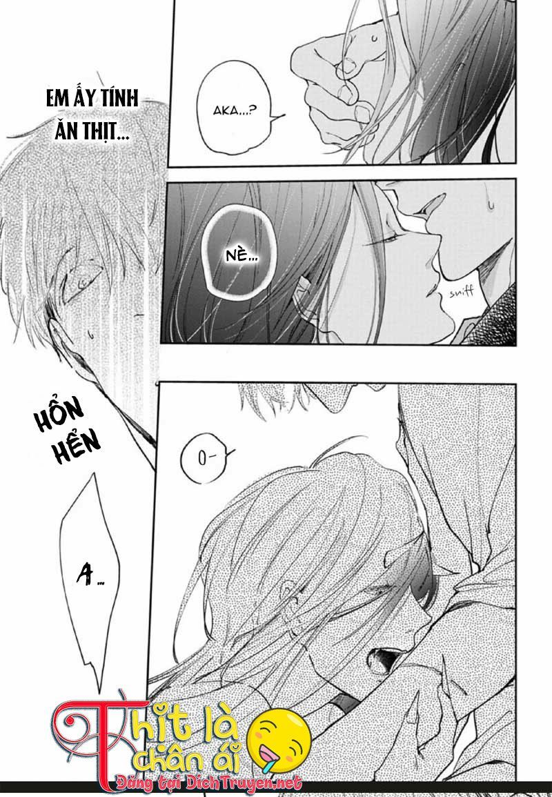 Hoa Trà Đỏ - Chapter 2