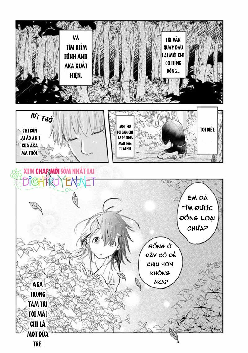 Hoa Trà Đỏ - Chapter 2