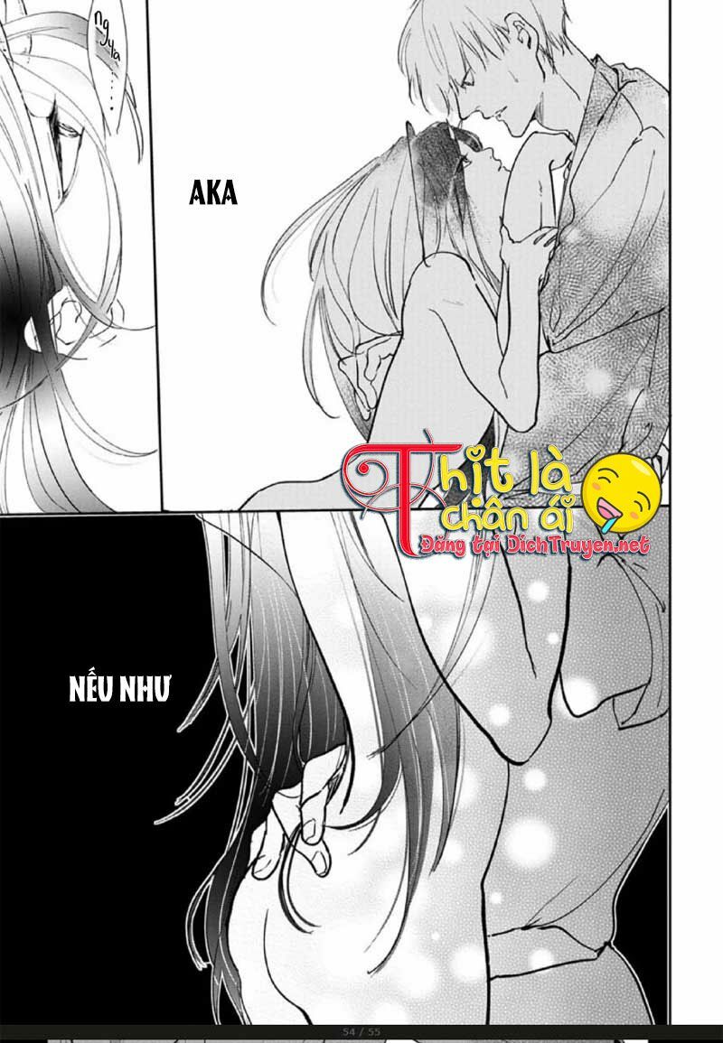 Hoa Trà Đỏ - Chapter 2