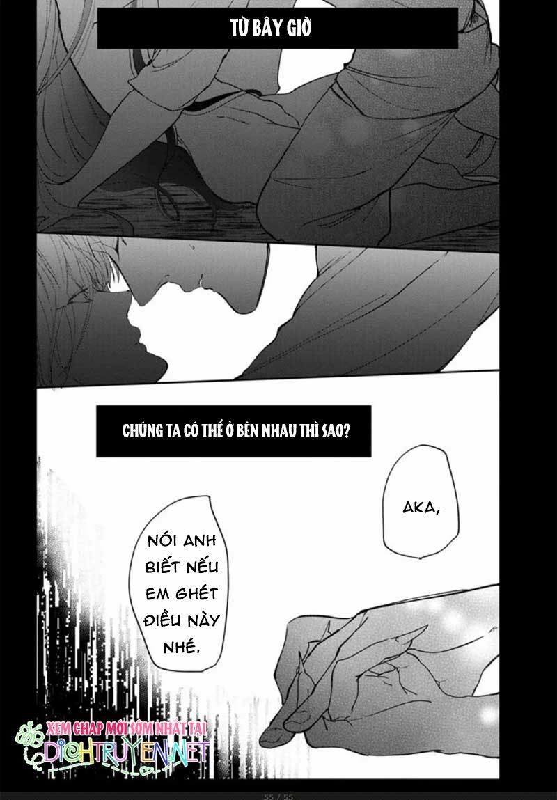 Hoa Trà Đỏ - Chapter 2