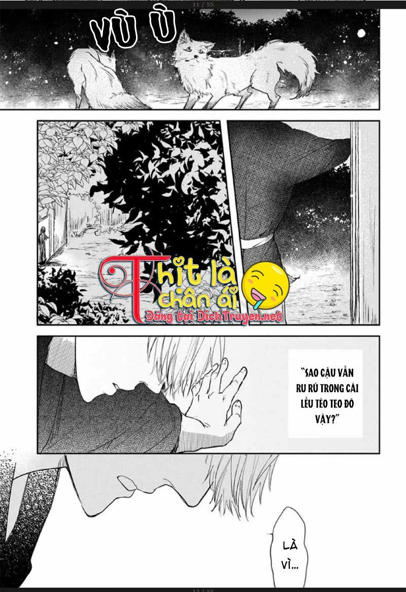 Hoa Trà Đỏ - Chapter 2
