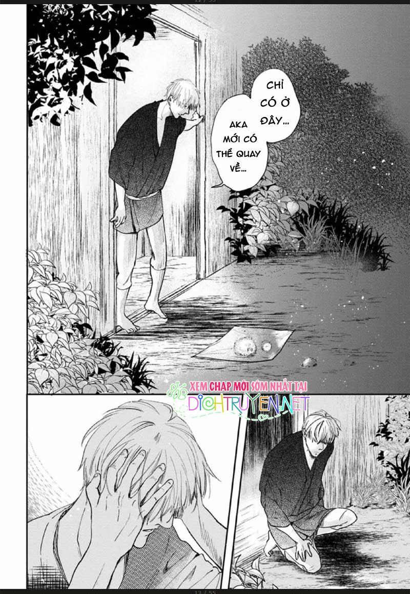 Hoa Trà Đỏ - Chapter 2