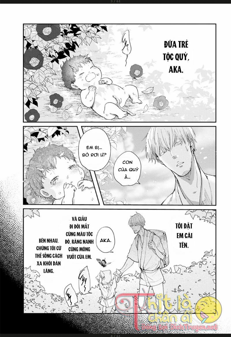 Hoa Trà Đỏ - Chapter 3