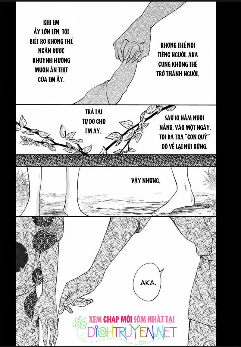 Hoa Trà Đỏ - Chapter 3