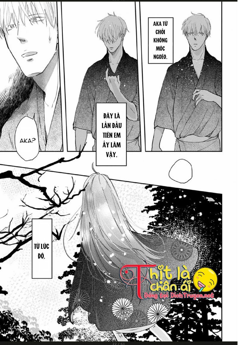 Hoa Trà Đỏ - Chapter 3