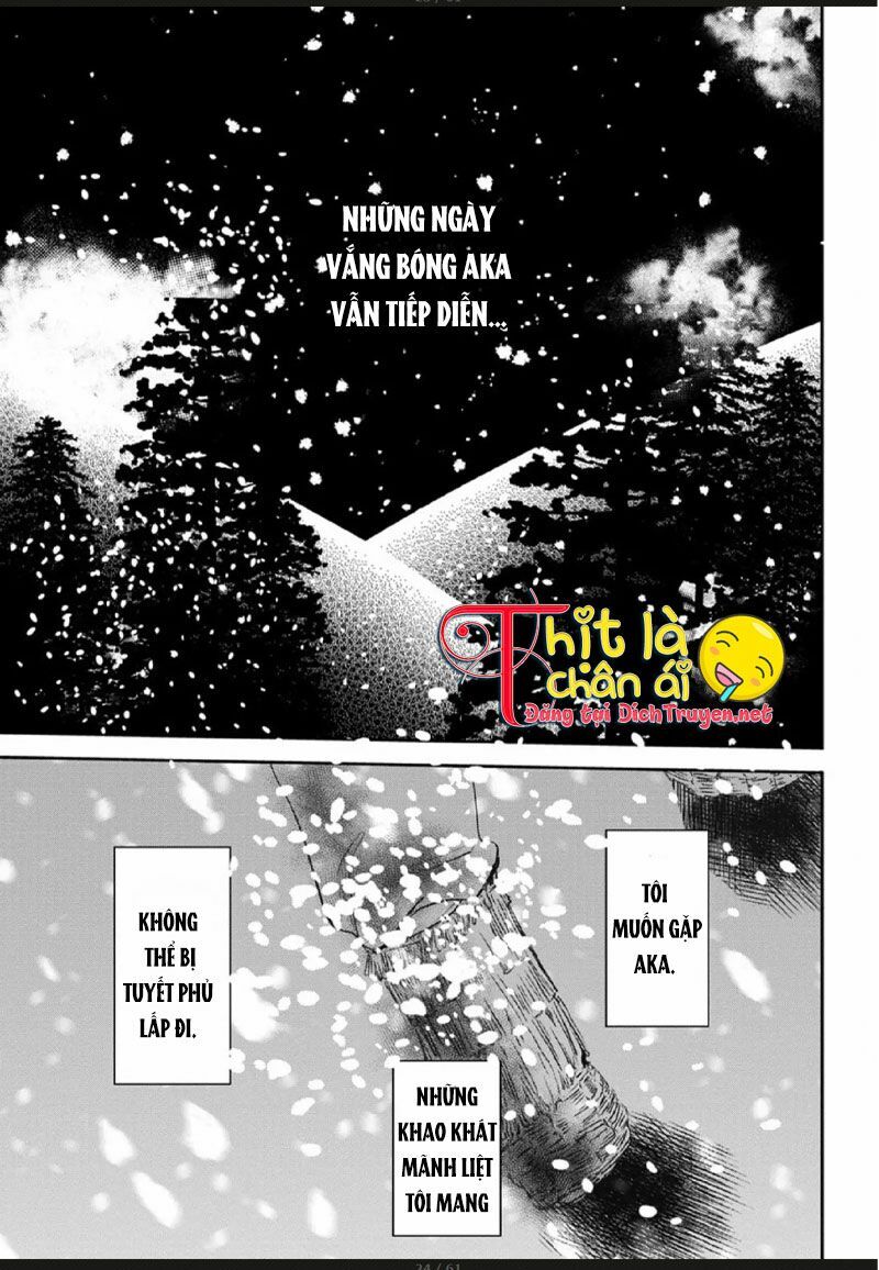 Hoa Trà Đỏ - Chapter 3