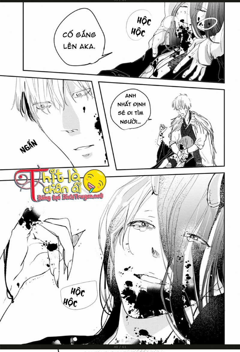 Hoa Trà Đỏ - Chapter 3