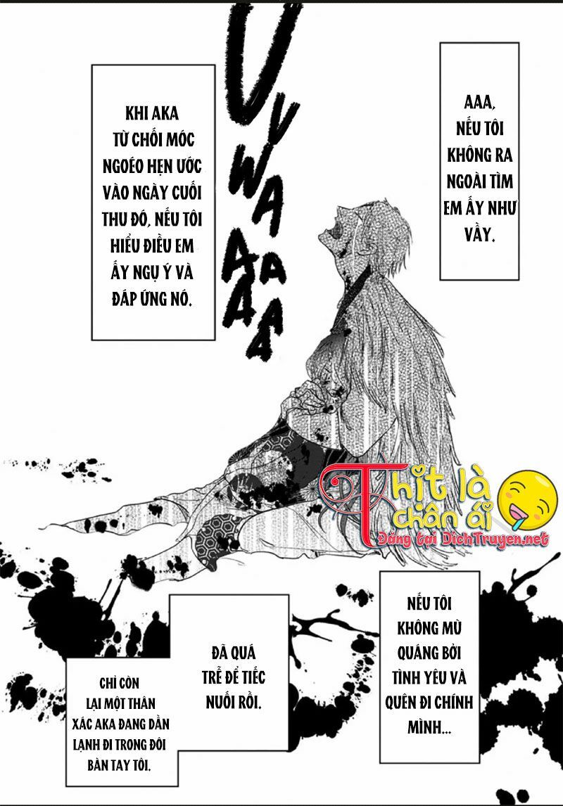 Hoa Trà Đỏ - Chapter 3