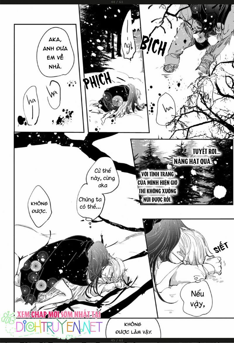 Hoa Trà Đỏ - Chapter 3