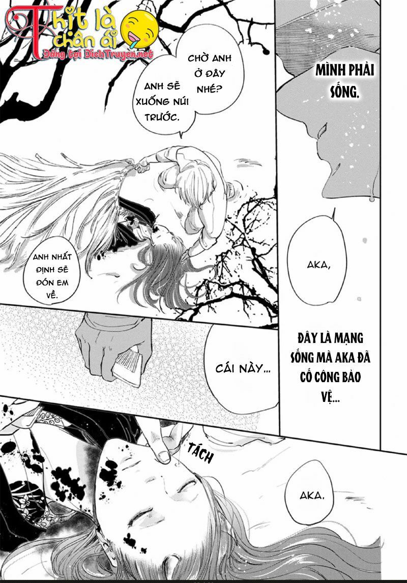 Hoa Trà Đỏ - Chapter 3