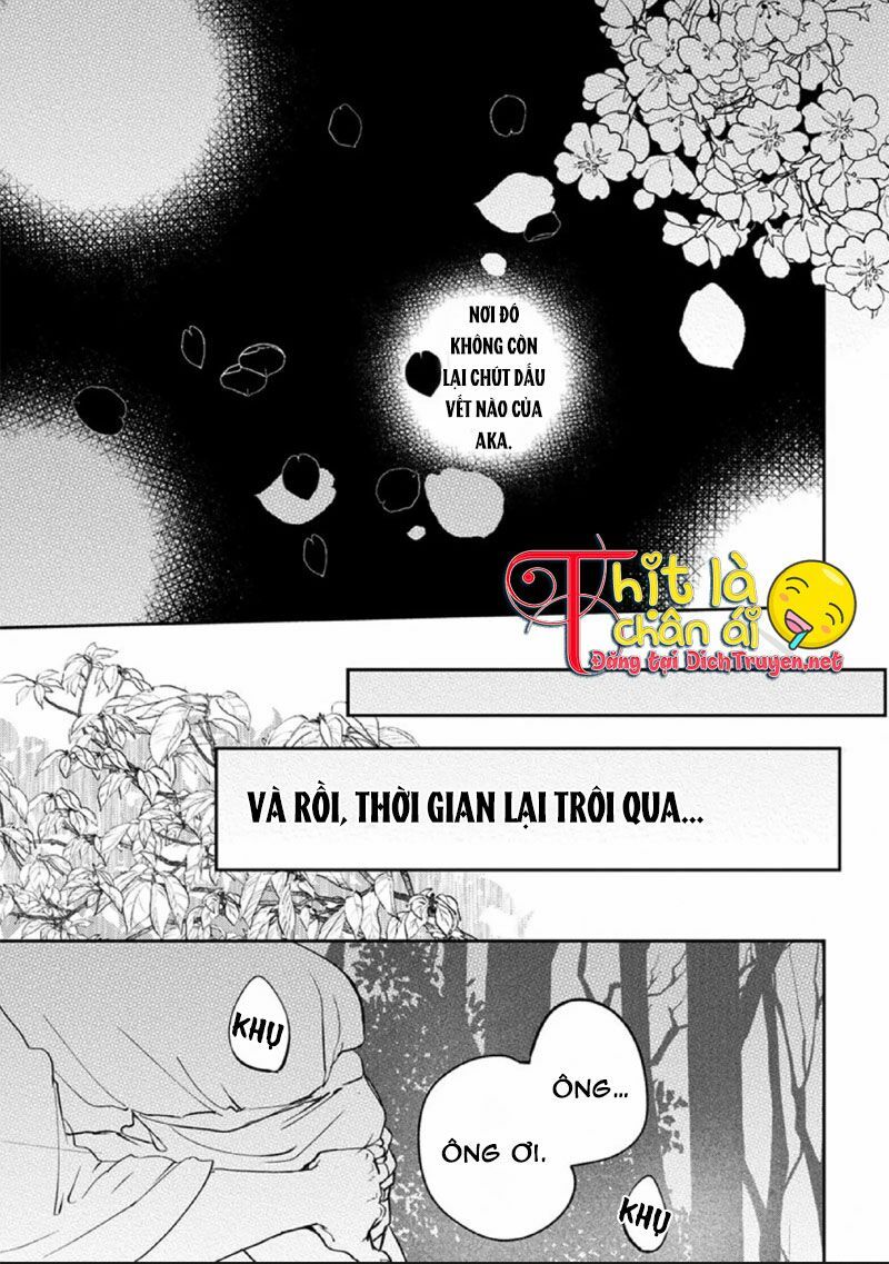 Hoa Trà Đỏ - Chapter 3