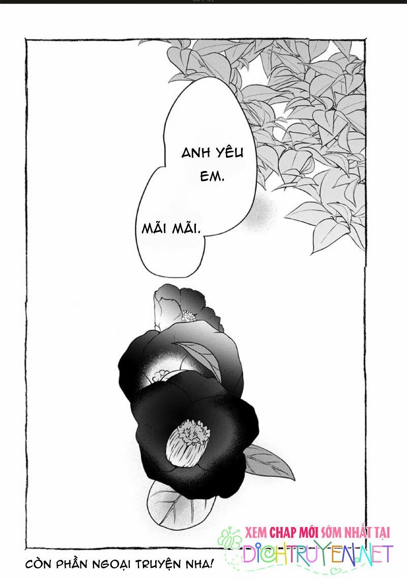 Hoa Trà Đỏ - Chapter 3