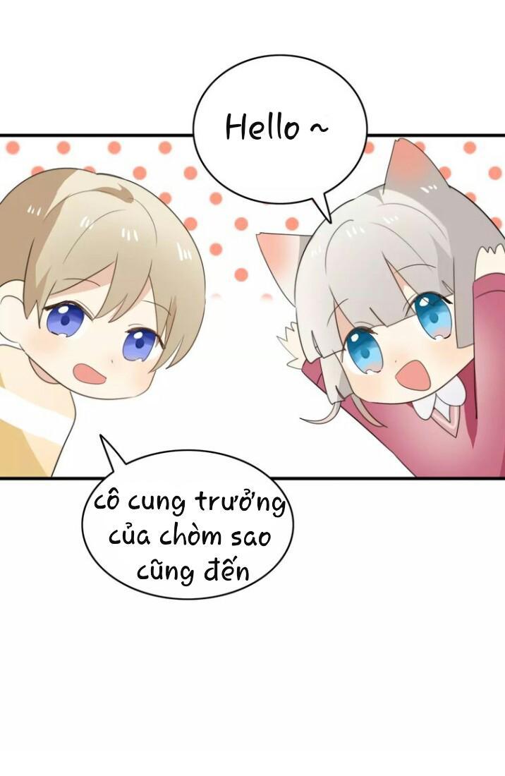 Thú Sủng Của Tôi Bị Mất Trí Rồi - Chapter 49