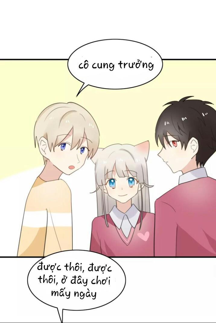 Thú Sủng Của Tôi Bị Mất Trí Rồi - Chapter 50
