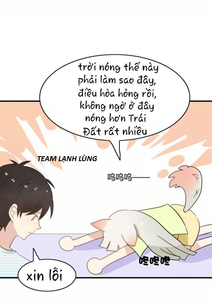 Thú Sủng Của Tôi Bị Mất Trí Rồi - Chapter 50