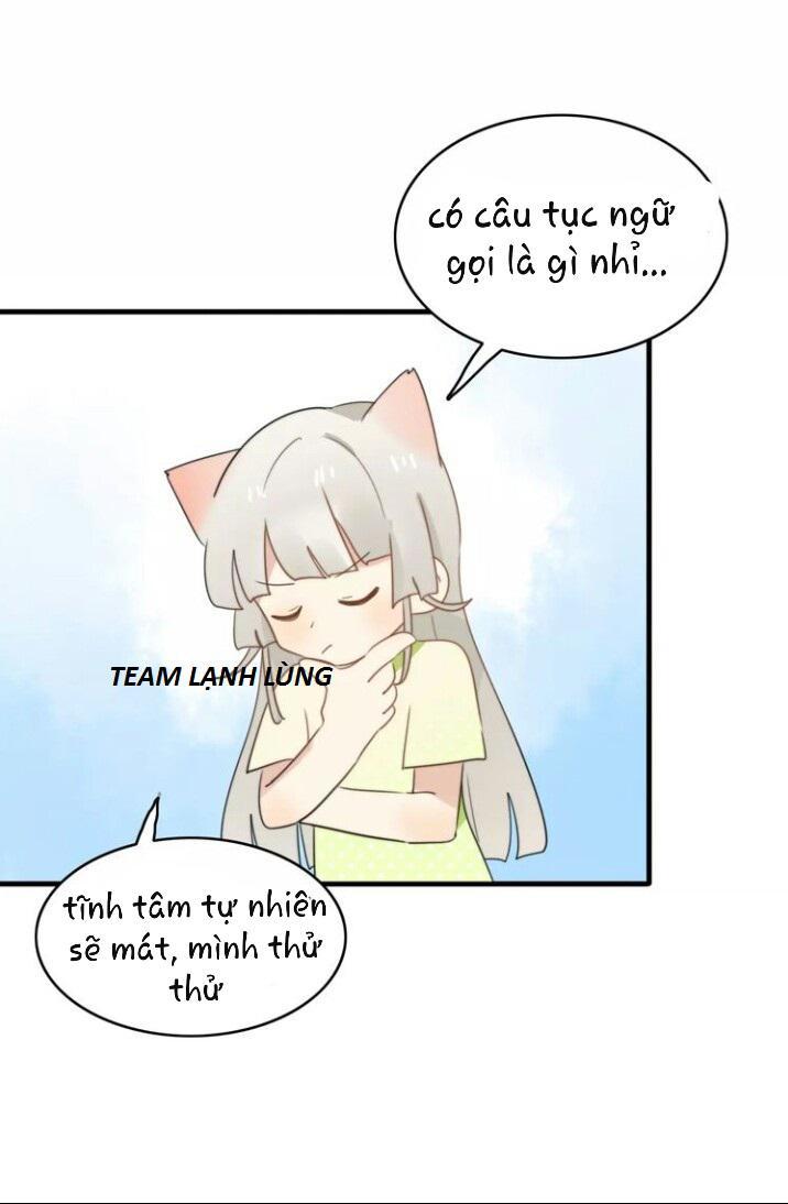 Thú Sủng Của Tôi Bị Mất Trí Rồi - Chapter 50