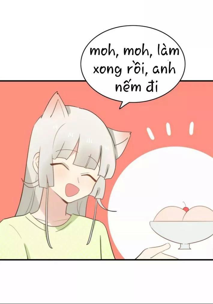 Thú Sủng Của Tôi Bị Mất Trí Rồi - Chapter 51