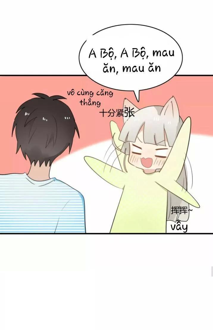 Thú Sủng Của Tôi Bị Mất Trí Rồi - Chapter 51