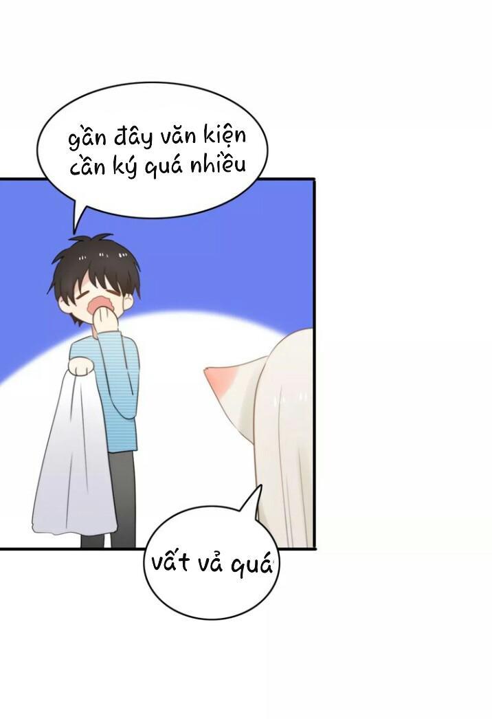 Thú Sủng Của Tôi Bị Mất Trí Rồi - Chapter 52