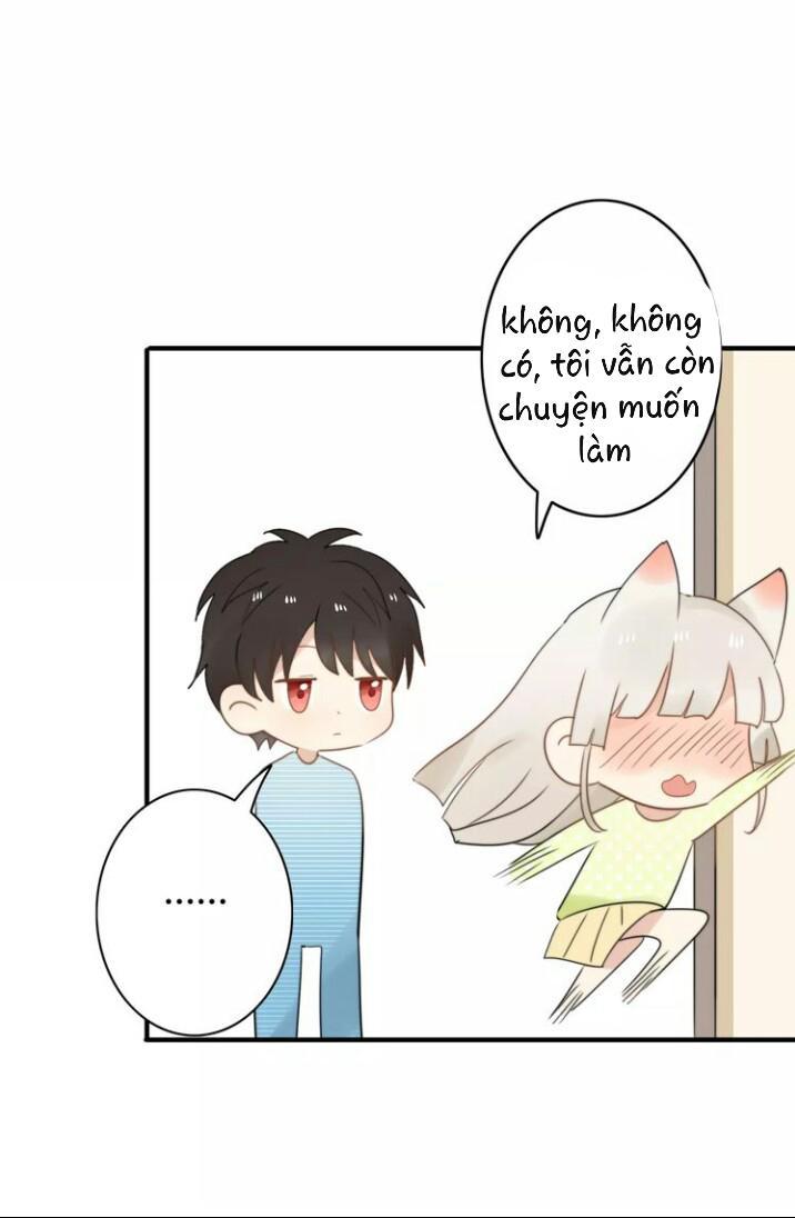 Thú Sủng Của Tôi Bị Mất Trí Rồi - Chapter 52