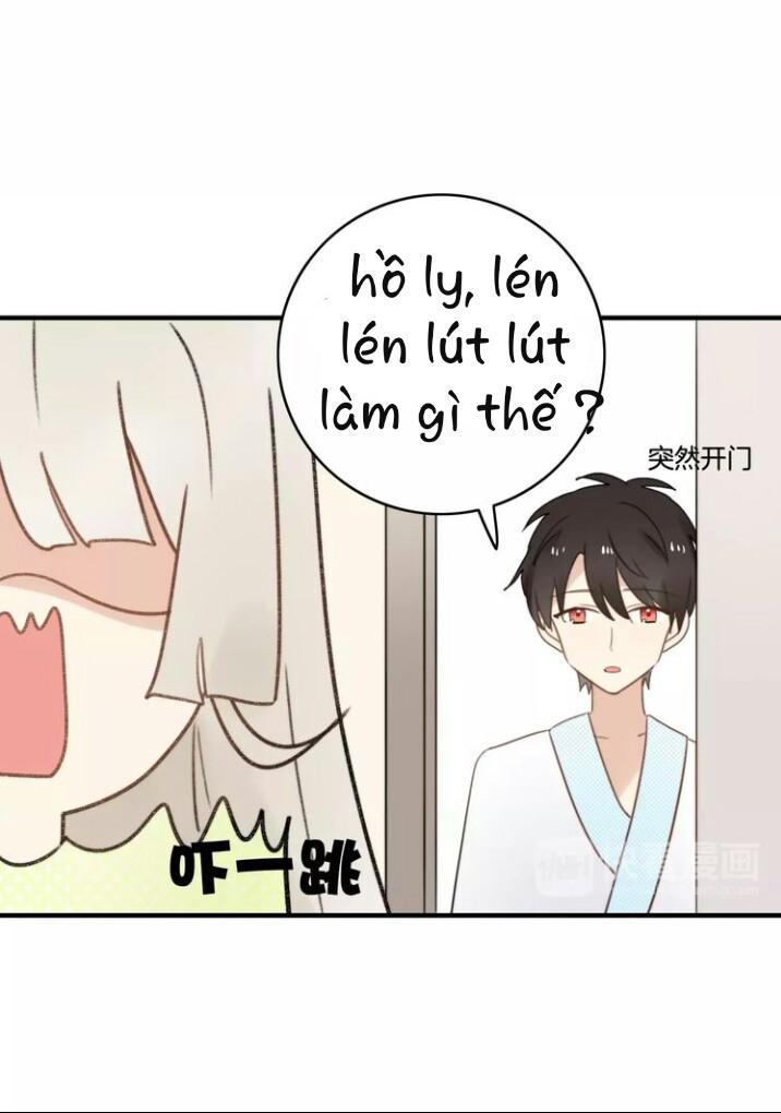 Thú Sủng Của Tôi Bị Mất Trí Rồi - Chapter 52