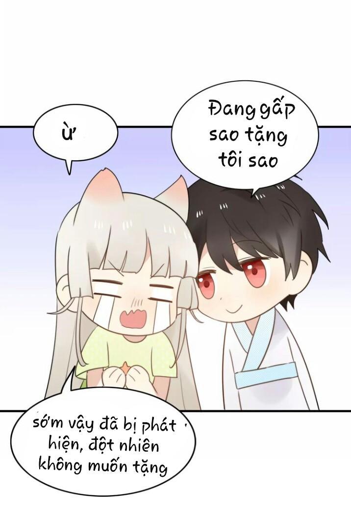 Thú Sủng Của Tôi Bị Mất Trí Rồi - Chapter 52