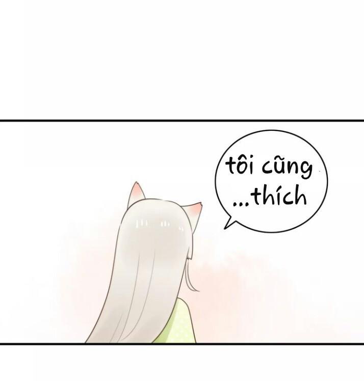 Thú Sủng Của Tôi Bị Mất Trí Rồi - Chapter 52