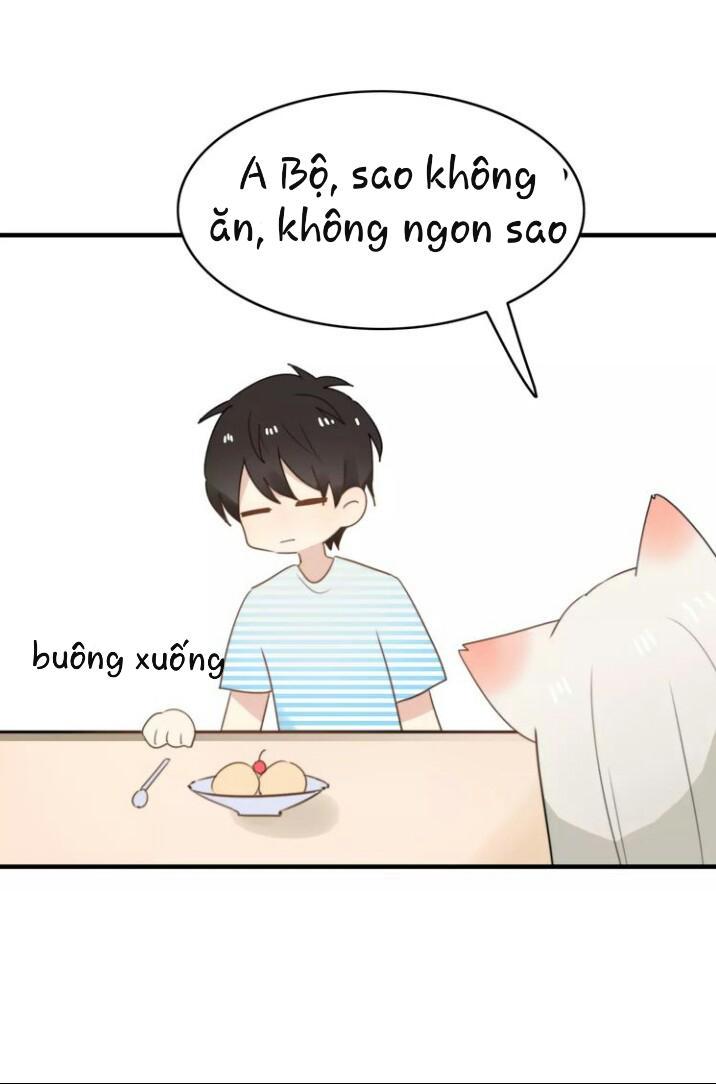 Thú Sủng Của Tôi Bị Mất Trí Rồi - Chapter 52