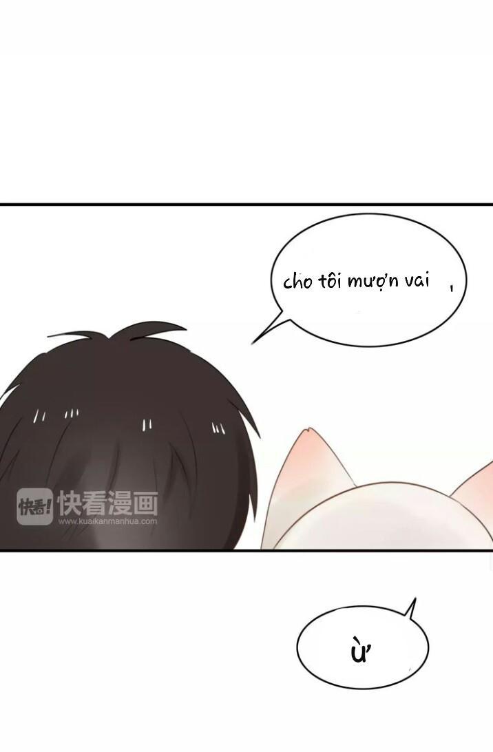 Thú Sủng Của Tôi Bị Mất Trí Rồi - Chapter 52