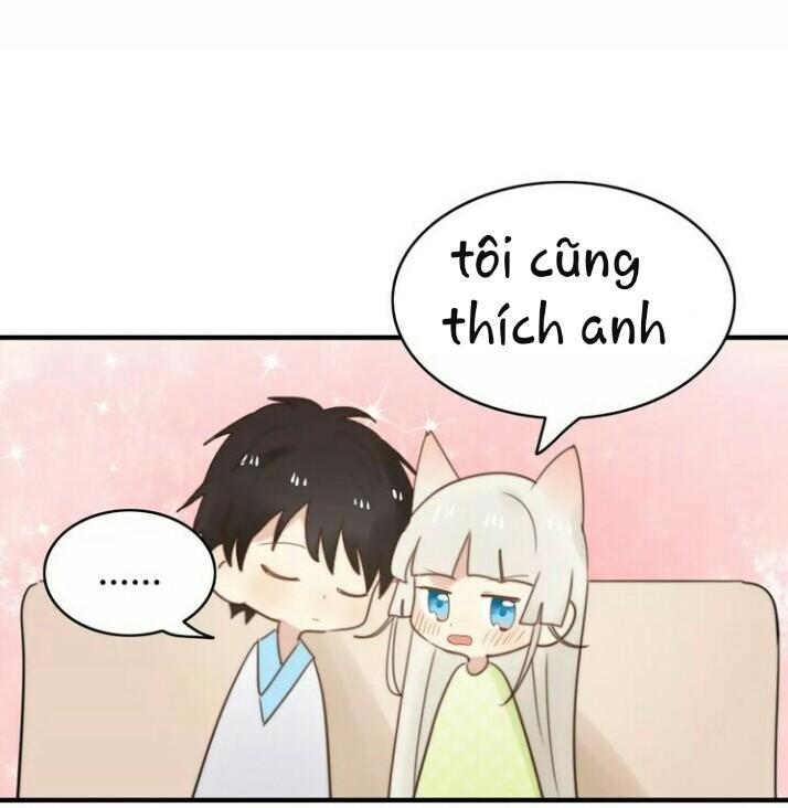 Thú Sủng Của Tôi Bị Mất Trí Rồi - Chapter 52
