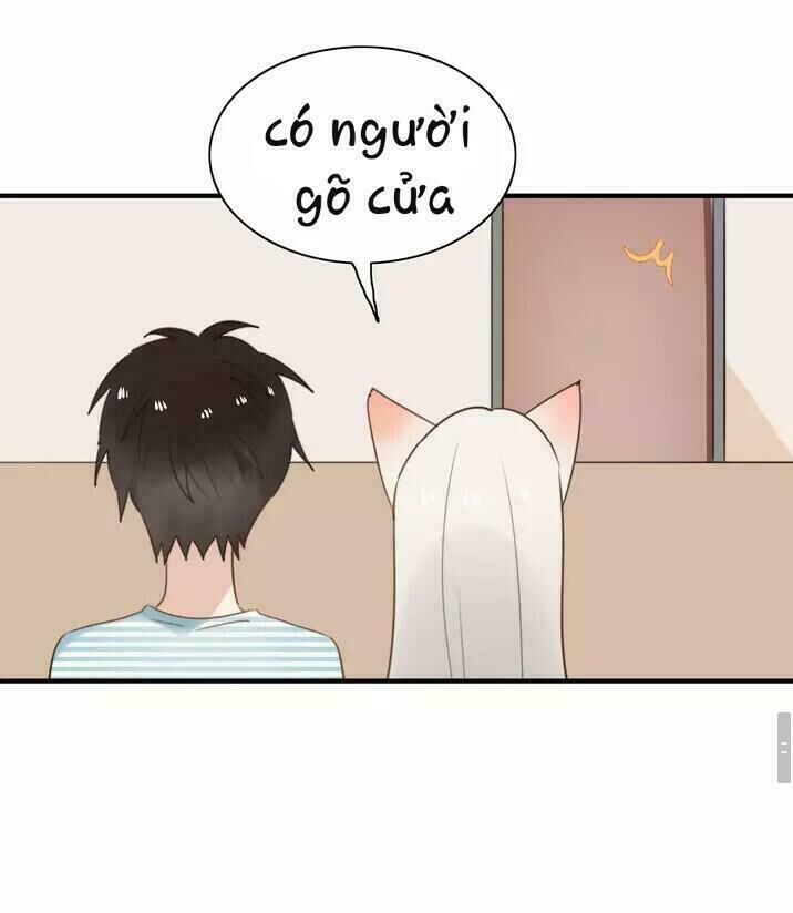 Thú Sủng Của Tôi Bị Mất Trí Rồi - Chapter 53