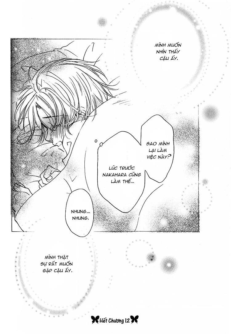 Cánh Bướm Nhỏ Cô Độc - Chapter 12