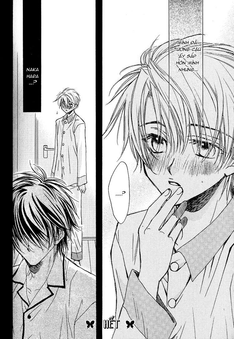 Cánh Bướm Nhỏ Cô Độc - Chapter 13