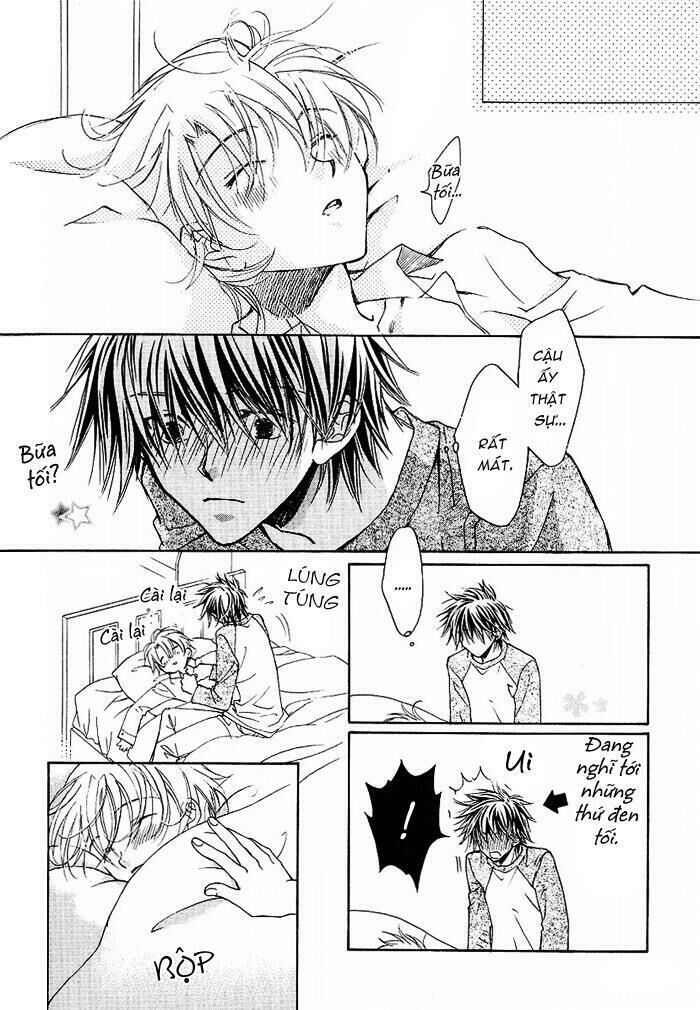 Cánh Bướm Nhỏ Cô Độc - Chapter 15.5