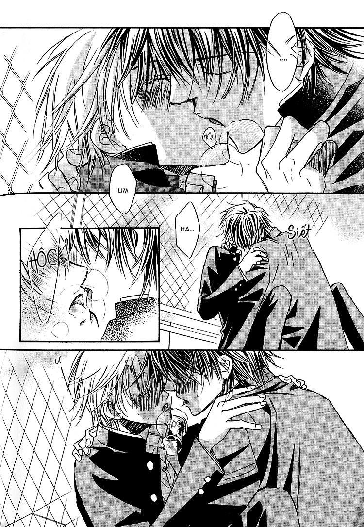 Cánh Bướm Nhỏ Cô Độc - Chapter 15